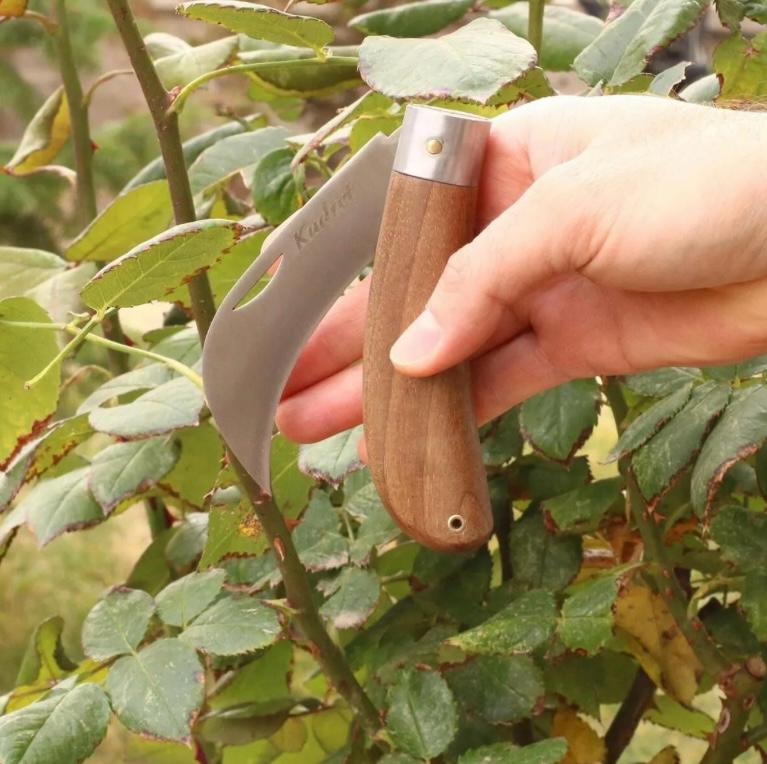  Eğri Ağaç Saplı KUDRET Aşı / Bahçe Çakısı 