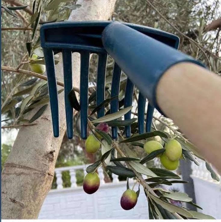  Zeytin Toplama Tarağı 1.kailte   